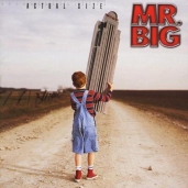 Mr. Big - Actual Size