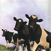 Pink Floyd - Atom Heart Mother