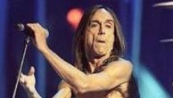 Iggy Pop